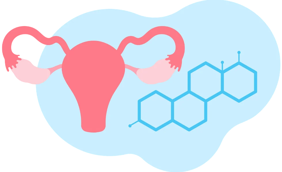 Infografik mit einer schematischen Darstellung der weiblichen Fortpflanzungsorgane (Gebärmutter, Eileiter, Eierstöcke) neben einer chemischen Strukturformel, die ein Sexualhormon symbolisiert.