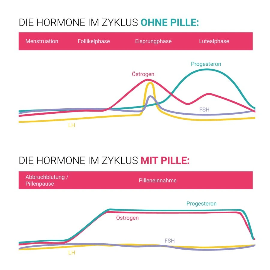 Zykluskurve