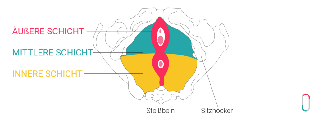 Eine anatomische Illustration des weiblichen Beckenbodens von unten betrachtet. Die Grafik zeigt drei farblich markierte Bereiche: die äußere Schicht (rot), die mittlere Schicht (türkis) und die innere Schicht (gelb). Zudem sind das Steißbein und die Sitzhöcker beschriftet. Unten rechts befindet sich das dezente trackle-Logo. Die Abbildung dient der Veranschaulichung der Muskulatur im Kontext der korrekten Sensor-Platzierung.