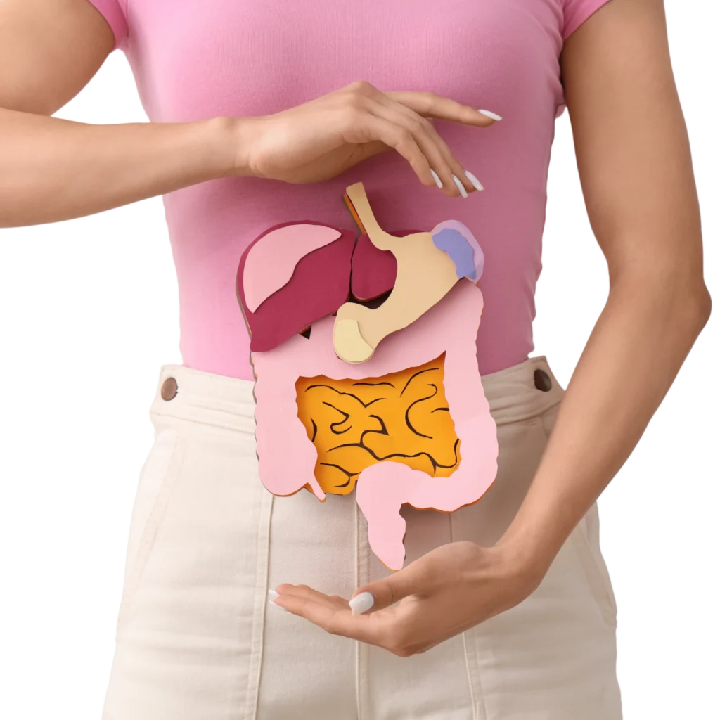Eine Frau in rosa Shirt hält schützend ihre Hände über ein Papier-Modell des menschlichen Verdauungssystems vor ihrem Bauch.
