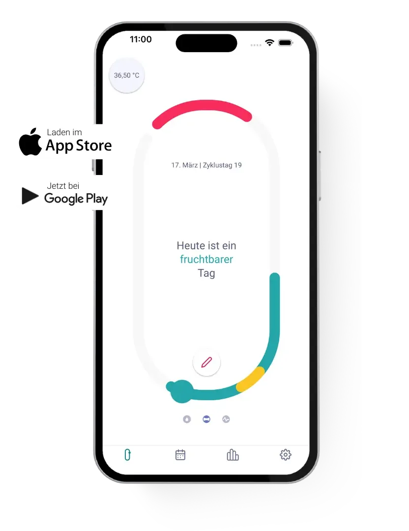 Ein Smartphone-Mockup zeigt die trackle App mit der Anzeige eines fruchtbaren Tages am 19. Zyklustag. Links sind die Buttons für den Download im Apple App Store und bei Google Play zu sehen. Das Bild illustriert die digitale Zyklusbeobachtung mit dem trackle Zykluscomputer.