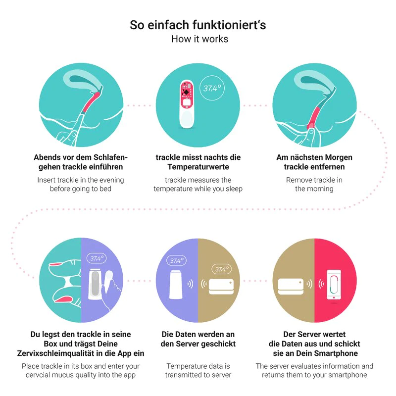 Eine Infografik mit dem Titel „So einfach funktioniert’s“, die den trackle-Prozess in sechs Schritten erklärt: 1. Sensor abends einführen, 2. Automatische Temperaturmessung nachts, 3. Sensor morgens entfernen, 4. Sensor in die Box legen und Zervixschleim in die App eintragen, 5. Datenübertragung an den Server, 6. Auswertung und Anzeige des Fruchtbarkeitsstatus auf dem Smartphone.