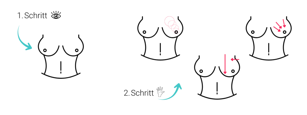 Infografik zur Brust-Selbstuntersuchung: Schritt 1 visualisiert die visuelle Inspektion; Schritt 2 zeigt drei verschiedene Abtastmuster (kreisförmig, linear und radial).