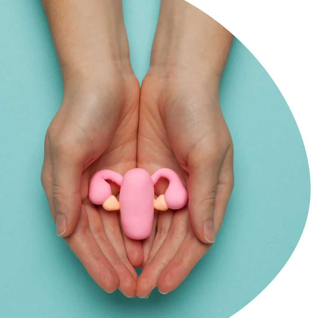 Zwei Hände, die schalenförmig aneinandergelegt sind und ein kleines, rosa Modell der Gebärmutter mit Eileitern und Eierstöcken umschließen. Der Hintergrund ist in einem sanften Türkis gehalten. Das Bild symbolisiert die Achtsamkeit gegenüber dem eigenen Körper und die Bedeutung der Zyklusbeobachtung.