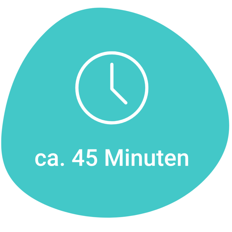 ca. 45 Minuten